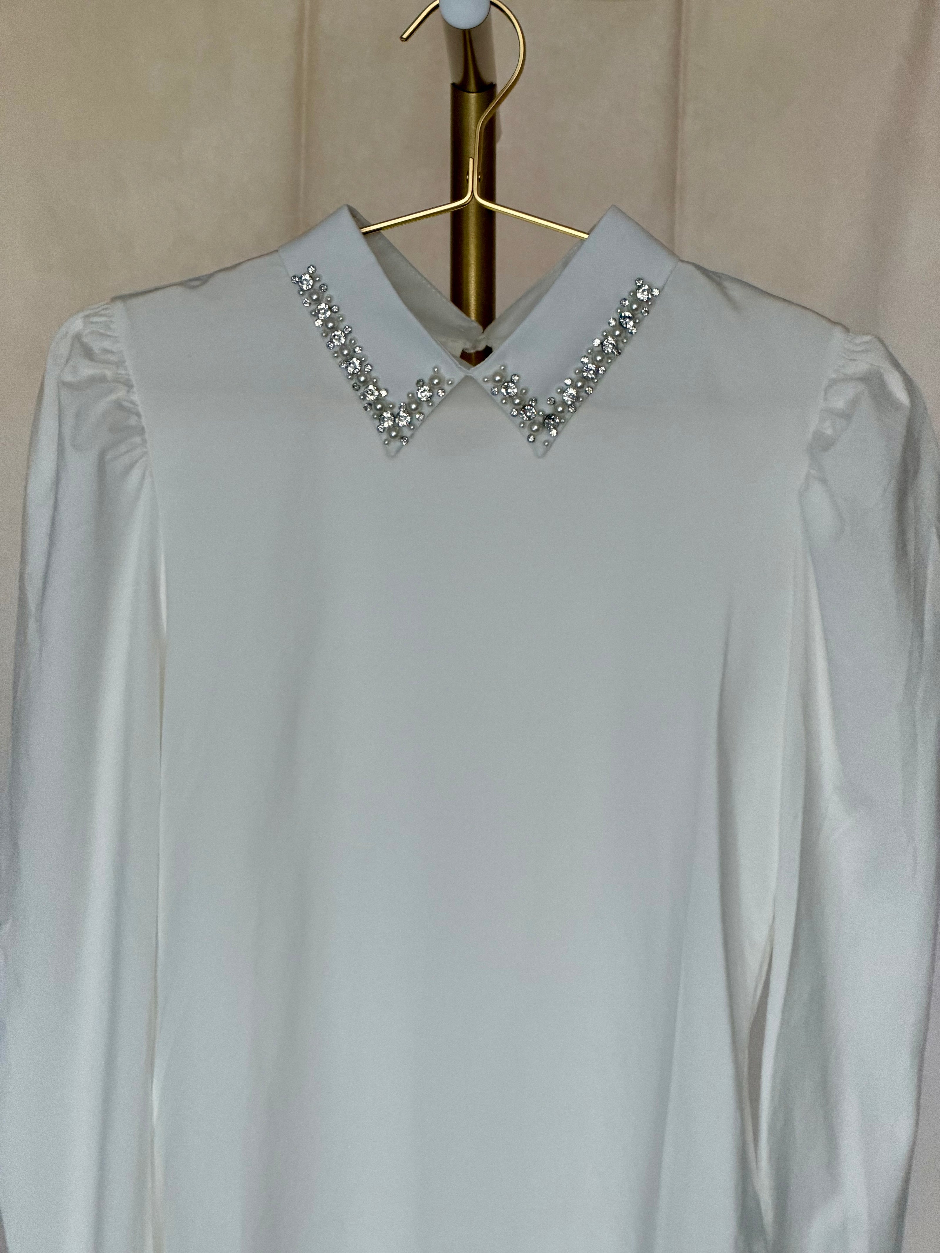 White Pintuck Sleeve Embellished Collar Shirt